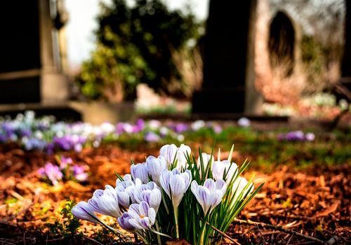 Friedhof